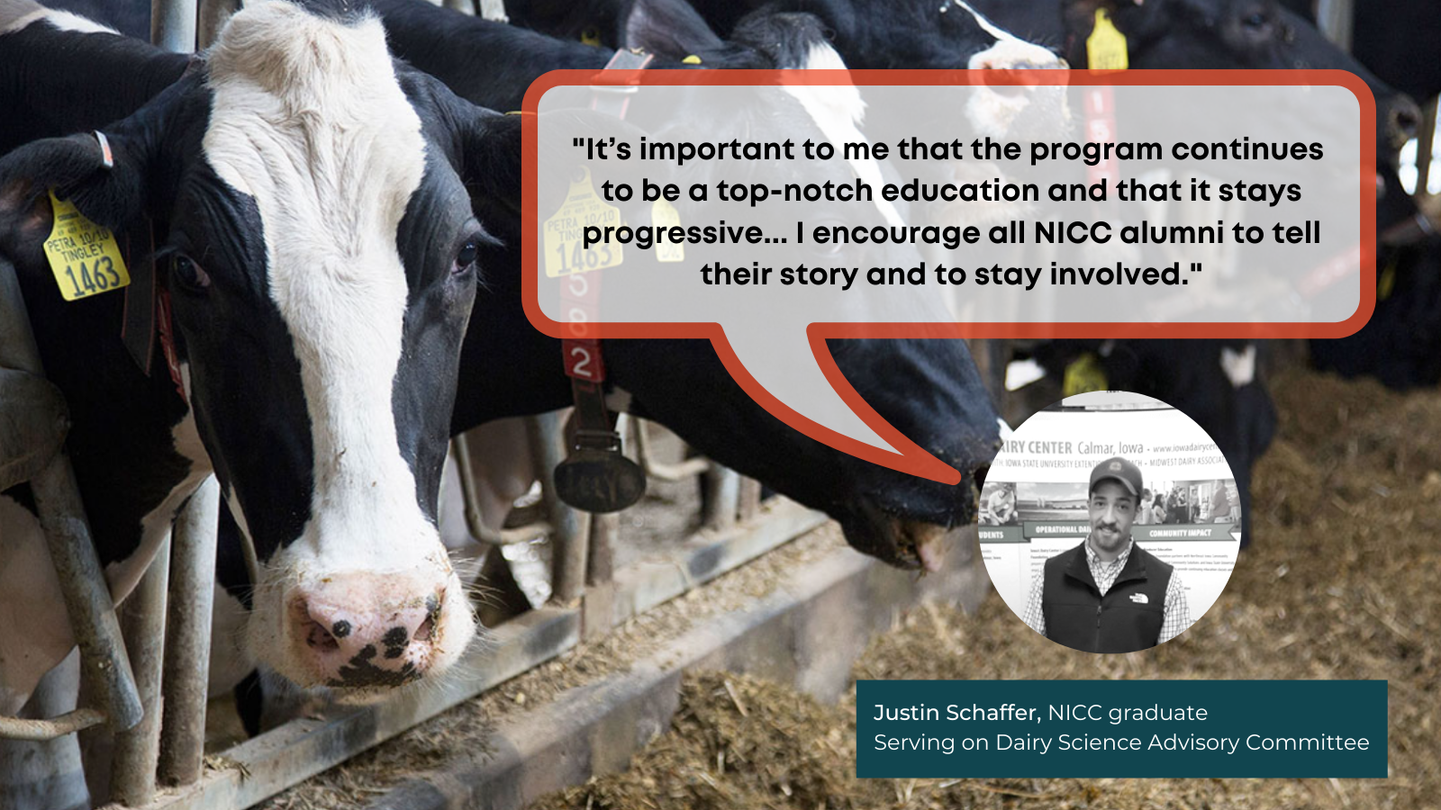 Dairy cows are in the background. The text reads: "It's important to me that the program continues to be ea top-notch education and that it stays progressive...I encourage all NICC alumni to tell their story and to stay involved/" Justin Schaffer, NICC graduate Serving on Dairy Science Advisory Committee
